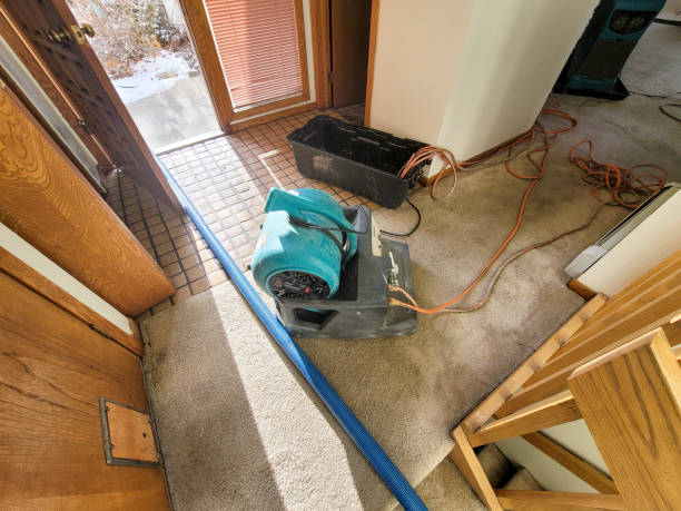 Best Carpet water damage restoration  in Moorhead, MS
