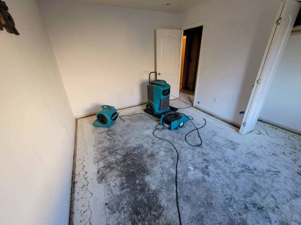 Best 24-hour water damage restoration  in Moorhead, MS