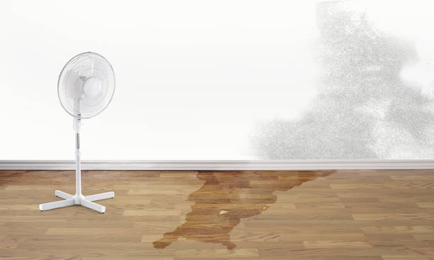 Best Water damage restoration near me  in Moorhead, MS