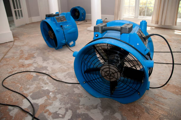 Moorhead, MS Water damage restoration Company