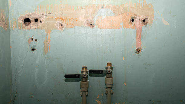 Best Residential water damage restoration  in Moorhead, MS