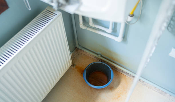 Best Water damage cleanup near me  in Moorhead, MS