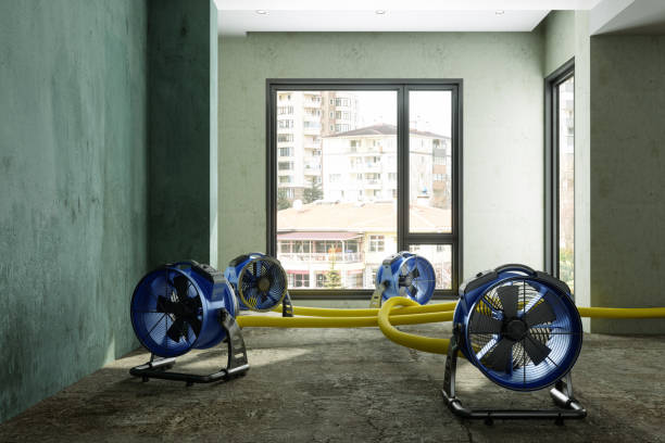 Best Water damage restoration services  in Moorhead, MS