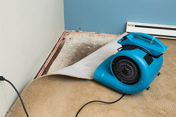 Best Flooded house restoration  in Moorhead, MS